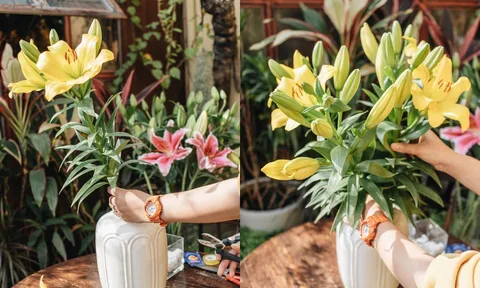 Mẹo cắm hoa cả tuần không héo, Tết này áp dụng ngay