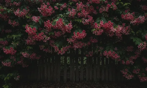 4 loại cây trồng quanh nhà dễ khiến rắn xuất hiện, nhiều gia đình không ngờ tới