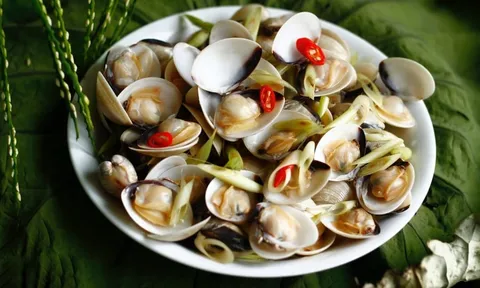 Mua ngao nhớ 3 mẹo này: Ăn không hết vẫn tươi, thịt không teo, mọng ngọt như mới