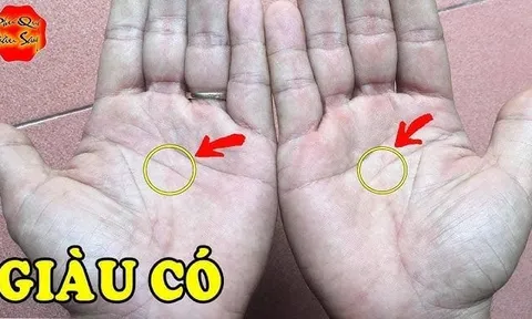 2 điểm hút Tiền trên bàn tay, ai có là ăn ngay Tài Lộc