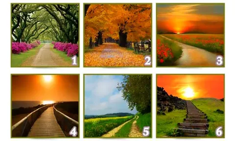 Quiz: Con đường bạn chọn sẽ nói lên sự thành công của bạn trong tương lai?