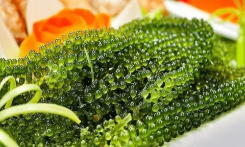 5 loại thực phẩm tự nhiên này là 'kẻ thù' của huyết áp cao, ăn thường xuyên để ổn định huyết áp