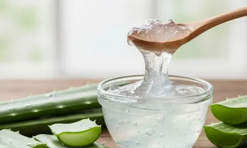 5 lý do lô hội là "thần dược" làm đẹp nên bổ sung vào chu trình chăm sóc da