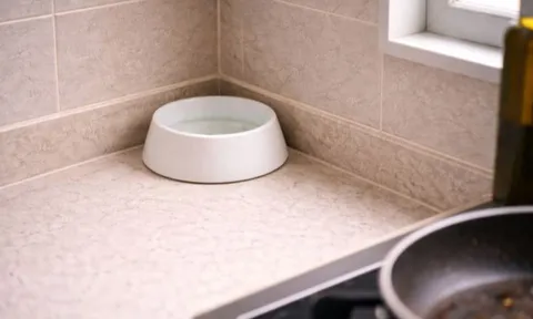 Cách khử mùi dầu mỡ trong bếp chỉ bằng một bát nước, không cần máy hút mùi