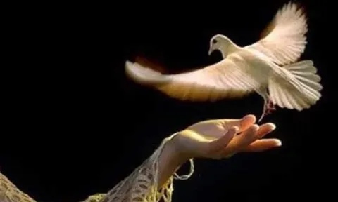 Chăm làm việc Thiện nhưng mắc vào 3 kiểu này thì Phước Càng Mỏng