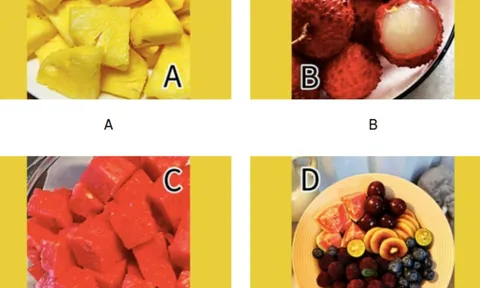 Trắc nghiệm tâm lý 2026: Điều ước lớn nhất nào của bạn sẽ trở thành hiện thực?