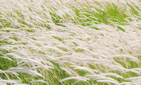 Trắc nghiệm tâm lý: Ai là người giữ vị trí quan trọng nhất trong cuộc đời bạn?