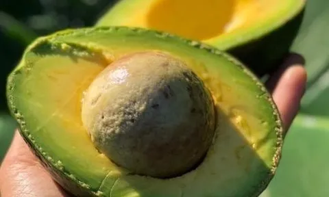 6 thực phẩm giúp làn da sáng mịn từ bên trong