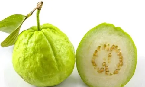 Ăn ổi mỗi ngày vào mùa lạnh: Lợi ích sức khỏe bất ngờ bạn không ngờ tới