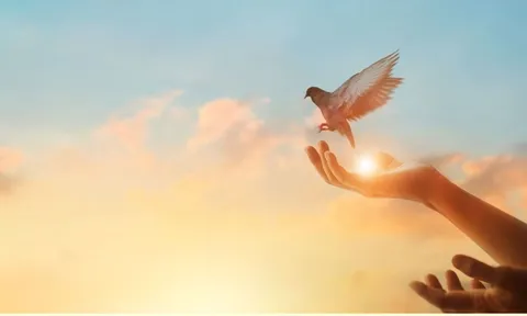 Người xưa dặn “nhìn xa trông rộng”, nhưng rốt cuộc vẫn phải thuận tự nhiên: Bài học càng lớn tuổi càng thấm