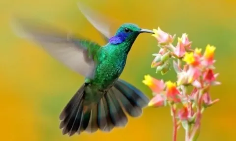 3 ngày sinh Âm lịch 'vàng 10', ai sở hữu chúng dễ dàng vượt qua khó khăn và thành công lớn