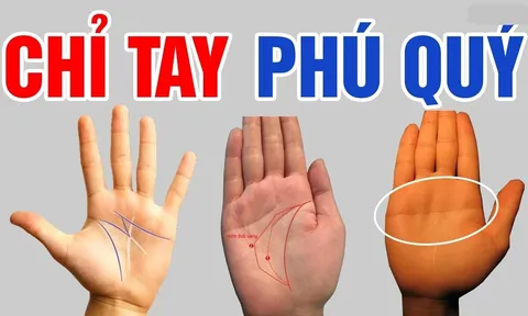 Bàn tay có 3 nét tướng này cả đời sống trong nhung lụa
