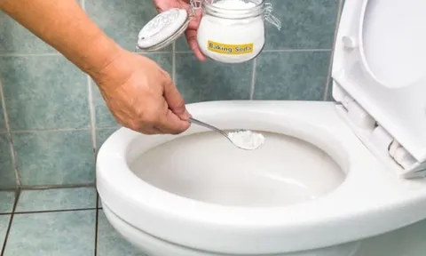 5 mẹo giúp nhà vệ sinh thơm tho sạch sẽ bằng các nguyên liệu tự nhiên