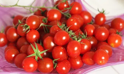 Cà chua bi – “cứu tinh” cho người giảm cân cận Tết