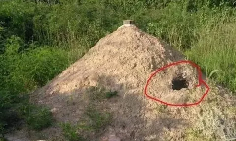 Giải mã câu tục ngữ nông thôn: Một thứ trước mộ, ba thứ sau mộ nói lên điều gì?