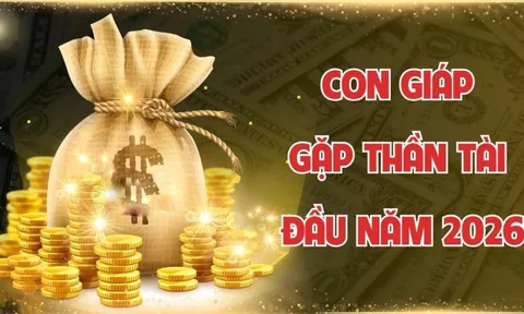 3 con giáp Tẩm Ngẩm Tầm Ngầm nhưng giàu ú ụ, đừng vội mà chê