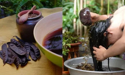 Cách gội đầu bằng bồ kết thay cho dầu gội công nghiệp giúp tóc mọc nhanh, đen mượt, không bị bết