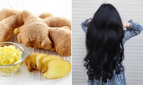 Cách gội đầu bằng gừng tươi trị rụng tóc hiệu quả, tóc con mọc lên tua tủa