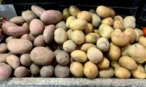 Cách phân biệt khoai tây bở và khoai tây giòn, chọn đúng món ăn mới ngon