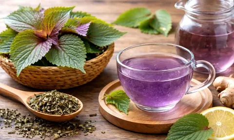 Uống nước tía tô phải biết: 3 khung giờ "Vàng" cho sức khỏe và 4 thời điểm uống vào dễ gây hại