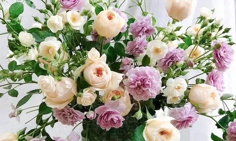 Trắc nghiệm tâm lý: Chọn 1 bình hoa theo trực giác để khám phá vận may, tài lộc và tình duyên sắp tới