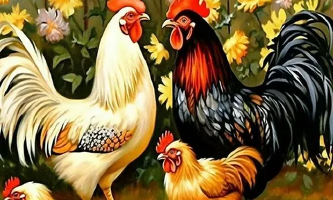 15 ngày tới, 3 tuổi dễ vấp “bẫy thuận lợi”: Tưởng may mà hóa rủi, càng chủ quan càng trả giá