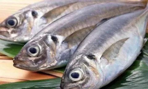 Cá biển và cá nước ngọt: Loại nào tanh hơn, loại nào tốt cho sức khỏe hơn?