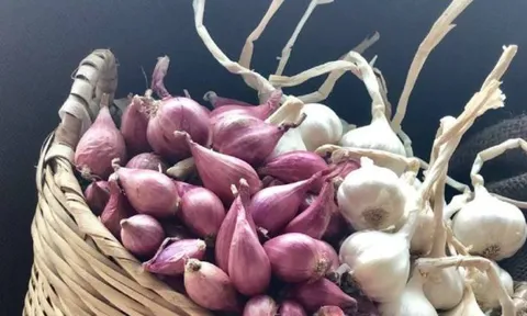 Cách bảo quản hành, tỏi cả năm không bị mốc, không bị teo thối hay mọc mầm