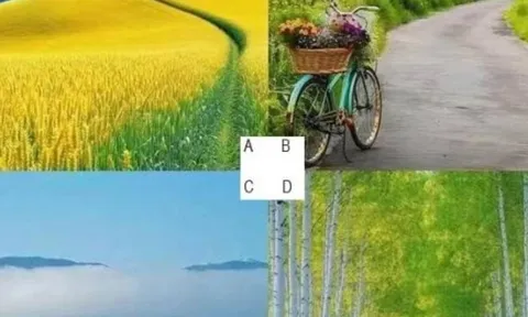 Trắc nghiệm tâm lý: Chọn một con đường bạn muốn đi để khám phá vận mệnh của bạn trong nửa sau cuộc đời