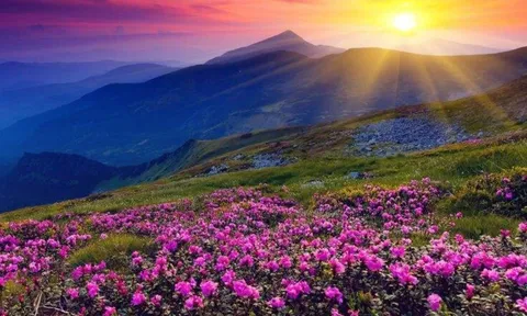 Trắc nghiệm tâm lý: Sau tuổi 50, bạn giàu sang phú quý hay sống an yên, bình dị?