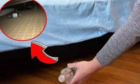 Vì sao người khôn ngoan khi nhận phòng khách sạn luôn ném chai nước xuống gầm giường?