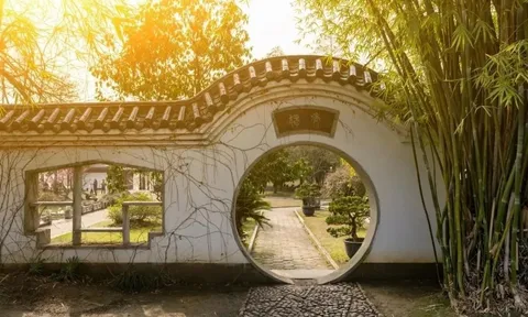 4 cây Âm mọc trước cửa nhà Tổ tiên gánh không nổi, chặt ngay còn kịp