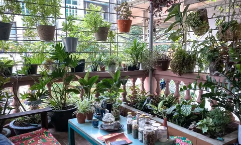 4 dấu hiệu vận may sắp đến nhà bạn, chỉ cần gặp 1/4 cũng xin chúc mừng