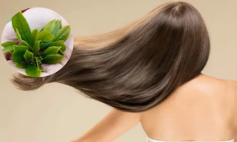 Gội đầu bằng thảo dược: Giải pháp tự nhiên giúp nuôi dưỡng tóc và da đầu khỏe mạnh mùa đông