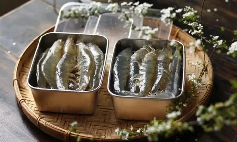 Mẹo cấp đông tôm tươi, cả tháng thịt vẫn chắc ngọt như mới mua