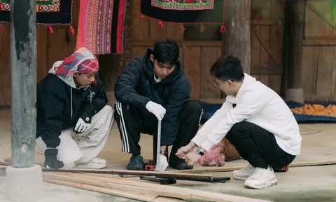 "Idol" mèo Lướng được dàn cast "Gia Đình Haha" xây nhà mới