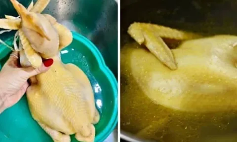 Bí quyết luộc gà “bất bại”: Sôi 5 phút rồi làm bước này, thịt chín đều, da vàng không nứt