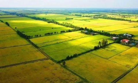 Các trường hợp được miễn thuế sử dụng đất nông nghiệp từ ngày 1/1/2026