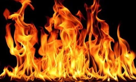 Giữ 3 năm đốt 1 giờ: 3 tuổi cần Kiểm Soát Cảm Xúc để không mất lộc, tụt uy tín, hụt lương thưởng