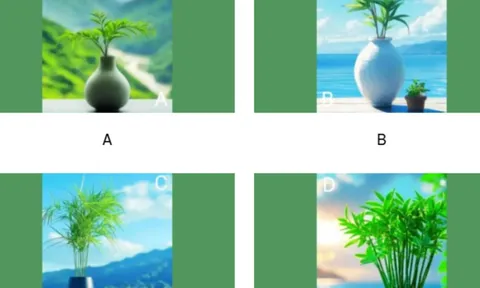 Trắc nghiệm tâm lý: Động lực kiếm tiền mạnh nhất của bạn trong năm 2026 là gì?