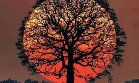 Trắc nghiệm tâm lý: Nhìn thấu hậu vận – Cuộc đời bạn có viên mãn, sung túc như mong ước?