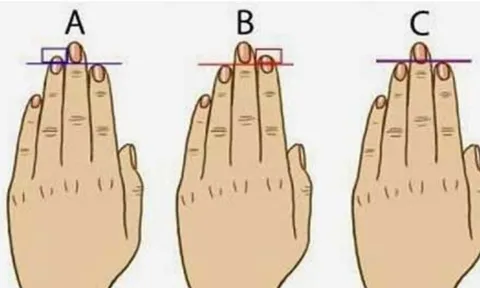 Quiz: Khoảng cách chiều dài các ngón tay nói gì về cuộc đời vận mệnh?