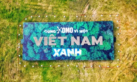 OMO Tết Concert “Giữa Tán Rừng Xanh”: Khi Âm Nhạc Hòa Quyện Cùng Cam Kết Xanh Cho Việt Nam