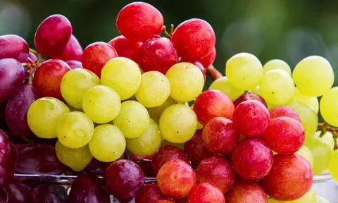 Các loại quả dễ khiến hơi thở có nồng độ cồn