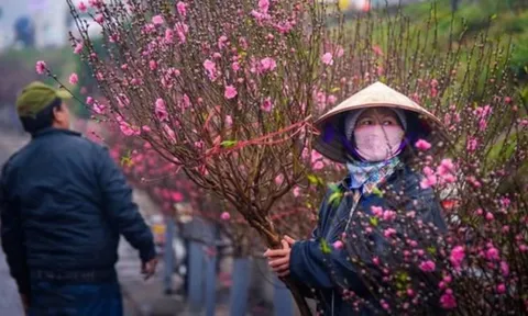Tết Nguyên Đán 2026, thời tiết Hà Nội có mưa rét không?