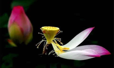 Có 3 lý do vô cùng chính đáng để bạn ngừng mọi đau khổ