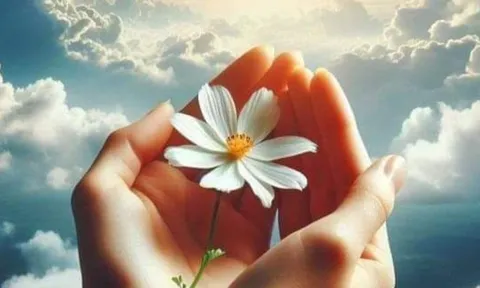 Trước 16/2, 3 cung hoàng đạo được quý nhân nâng đỡ nhưng phải biết mở lời mới chạm thành công