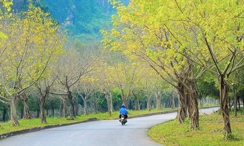 Trắc nghiệm: Bạn có số mệnh giàu sang, phú quý trời định hay không?