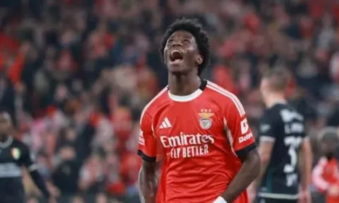 Tin đồn chuyển nhượng tối 12/2: MU tranh mua thần đồng Benfica; Haaland ra điều kiện đến Real