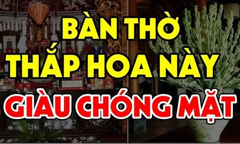 4 loại hoa cắm trên bàn thờ ngày Tết tiền vào như nước
